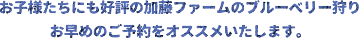 お子様たちにも好評の加藤ファームのブルーベリー狩り お早めのご予約をオススメいたします。